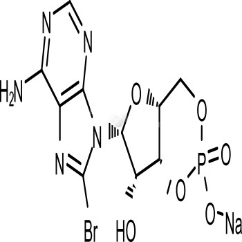 8-Bromo-cAMP
