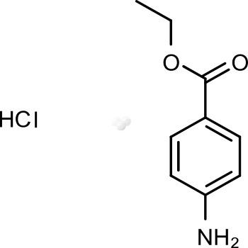 Benzocaine hydrochloride