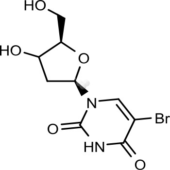 Bromodeoxyuridine (BrdU)