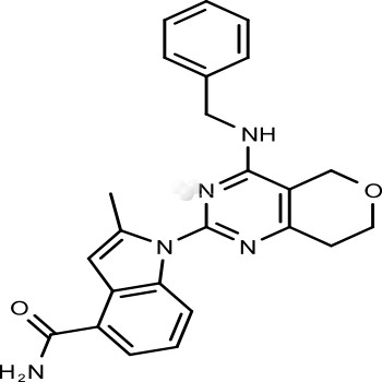 CB-5083