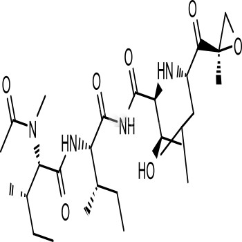 Epoxomicin