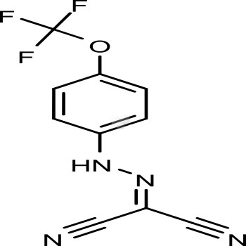 FCCP