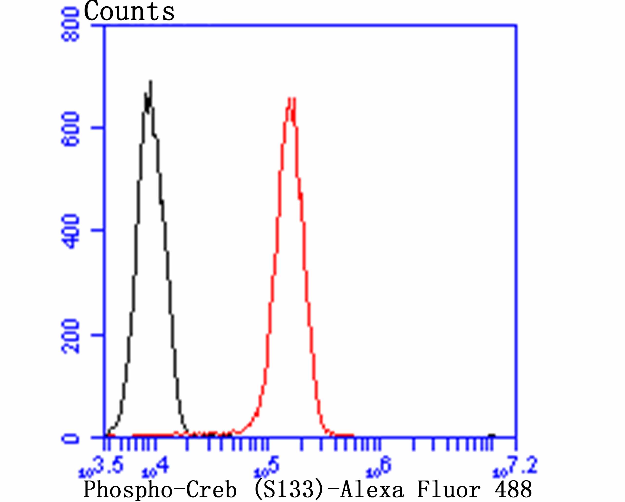 Phospho-Creb (S133) Rabbit mAb