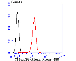 C14orf93 Antibody