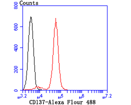 CD137 Antibody