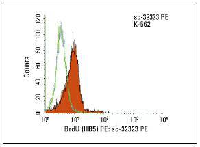 BrdU (Bu20a) Antibody