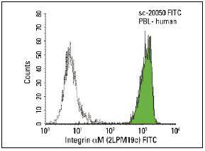 CD11b/ITAM Antibody