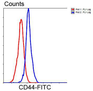 CD44 Antibody