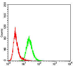 FBXL10 Antibody