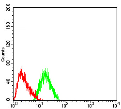 CHRNA7 Antibody