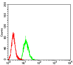 KDM3A Antibody