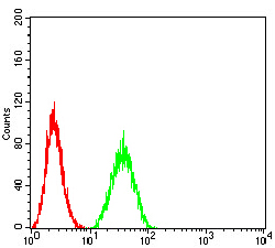 PTPN14 Antibody