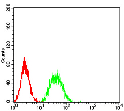 CDCP1 Antibody