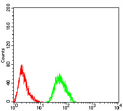 CFHR5 Antibody