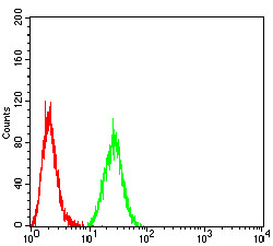 AOF1 Antibody