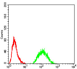 JARID2 Antibody