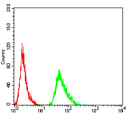 AMY1A Antibody