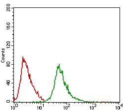 Ring1 Antibody