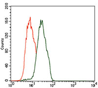 C17ORF53 Antibody