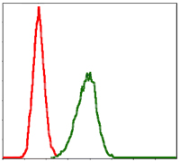 LPlunc1 Antibody