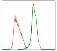 MPL Antibody