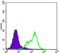 THAP11 Antibody