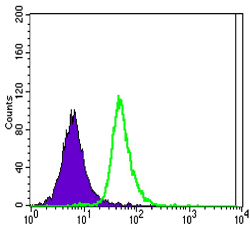 SLC22A1 Antibody