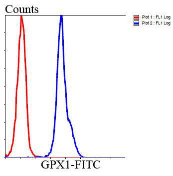 Glutathione Peroxidase 1 Antibody