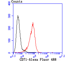 CD71 Antibody