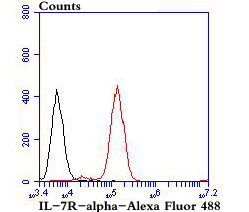 IL-7R-alpha Antibody