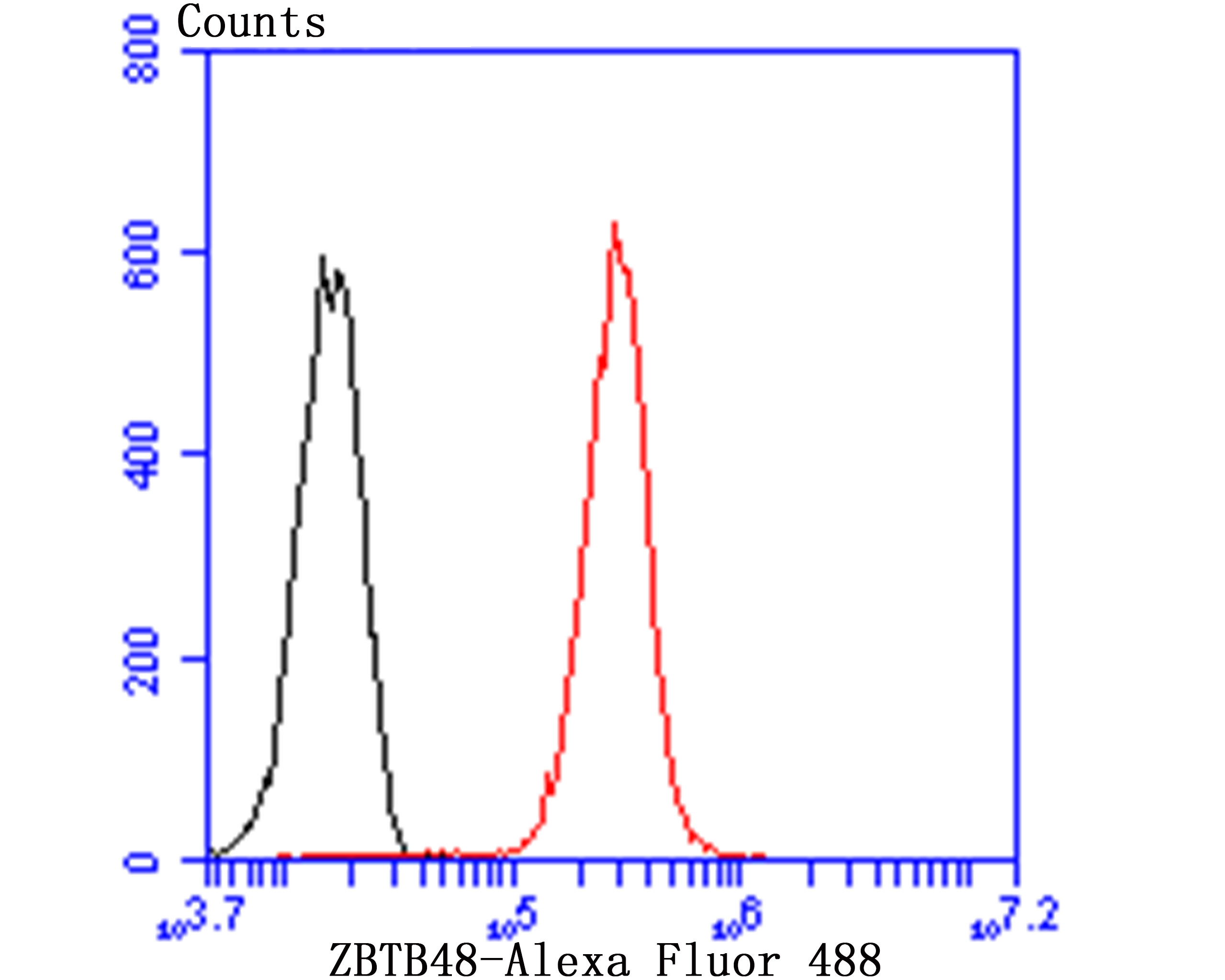 ZBTB48 Antibody