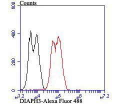 DIAPH3 Antibody