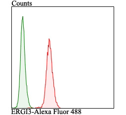 ERGI3 Antibody