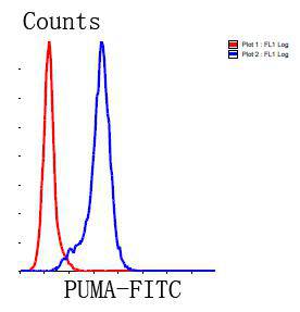 PUMA Antibody