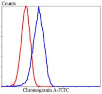 Chromogranin A Antibody