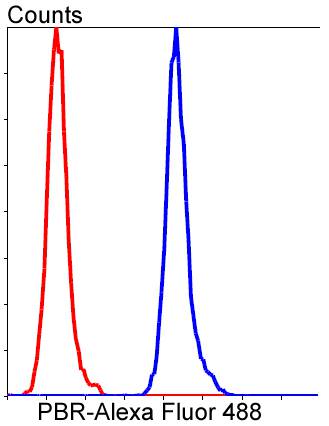 PBR Rabbit mAb