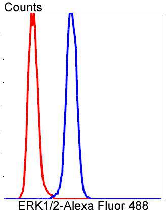 ERK1/2 Rabbit mAb