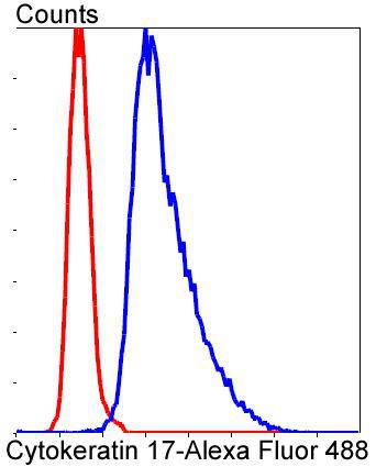 Cytokeratin 17 Rabbit mAb
