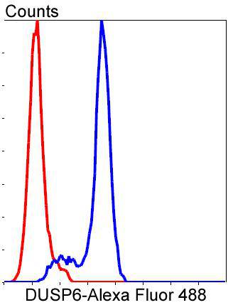 DUSP6 Rabbit mAb