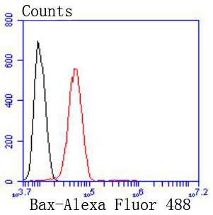 Bax Rabbit mAb