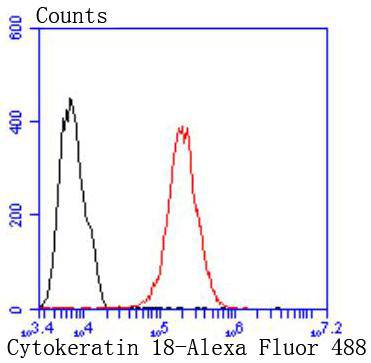 Cytokeratin 18 Rabbit mAb