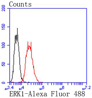 ERK1 Rabbit mAb