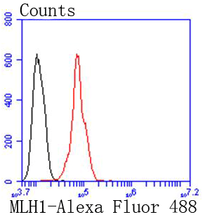 MLH1 Rabbit mAb