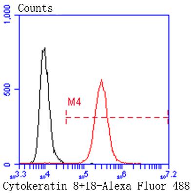 Cytokeratin 8+18 Rabbit mAb