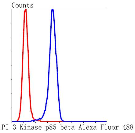 PI 3 Kinase p85 beta Rabbit mAb