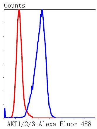 AKT1/2/3 Rabbit mAb