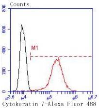 Cytokeratin 7 Rabbit mAb