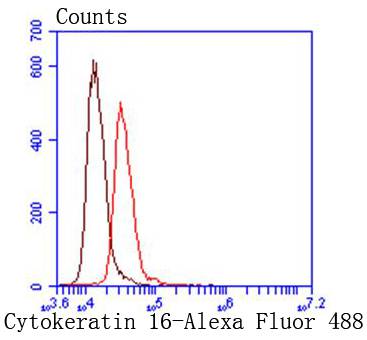 Cytokeratin 16 Rabbit mAb