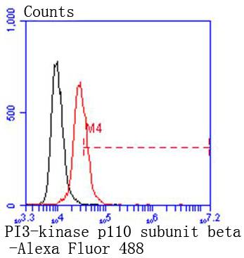 PI3-kinase p110 subunit beta Rabbit mAb