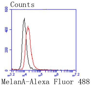 MelanA Rabbit mAb